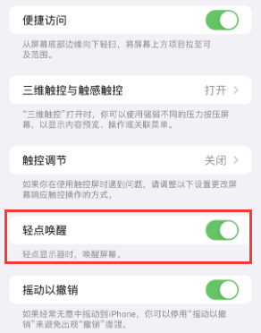 芷江苹果授权维修站分享iPhone轻点无法唤醒怎么办 