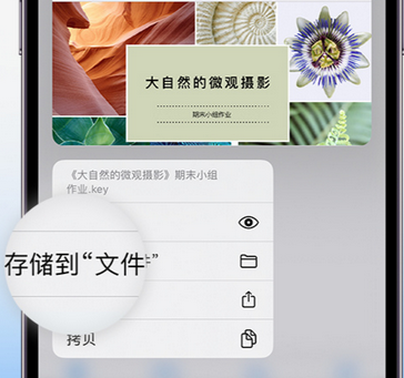 芷江apple维修中心分享iPhone文件应用中存储和找到下载文件