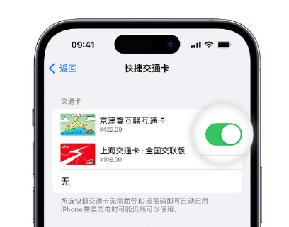 芷江apple维修点分享iPhone上更换Apple Pay快捷交通卡手绘卡面 