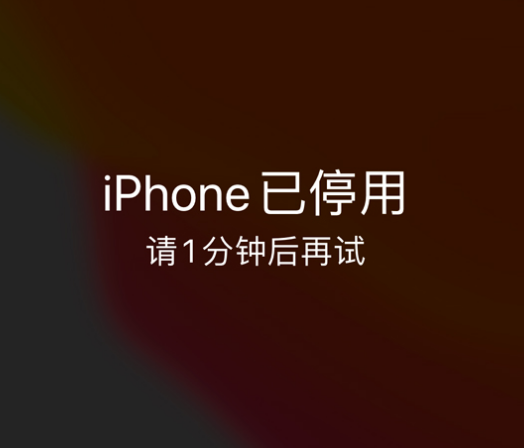 芷江苹果手机维修分享:iPhone 显示“不可用”或“已停用”怎么办？还能保留数据吗？ 