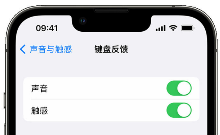 芷江苹果手机维修分享iPhone 14触感键盘使用方法 