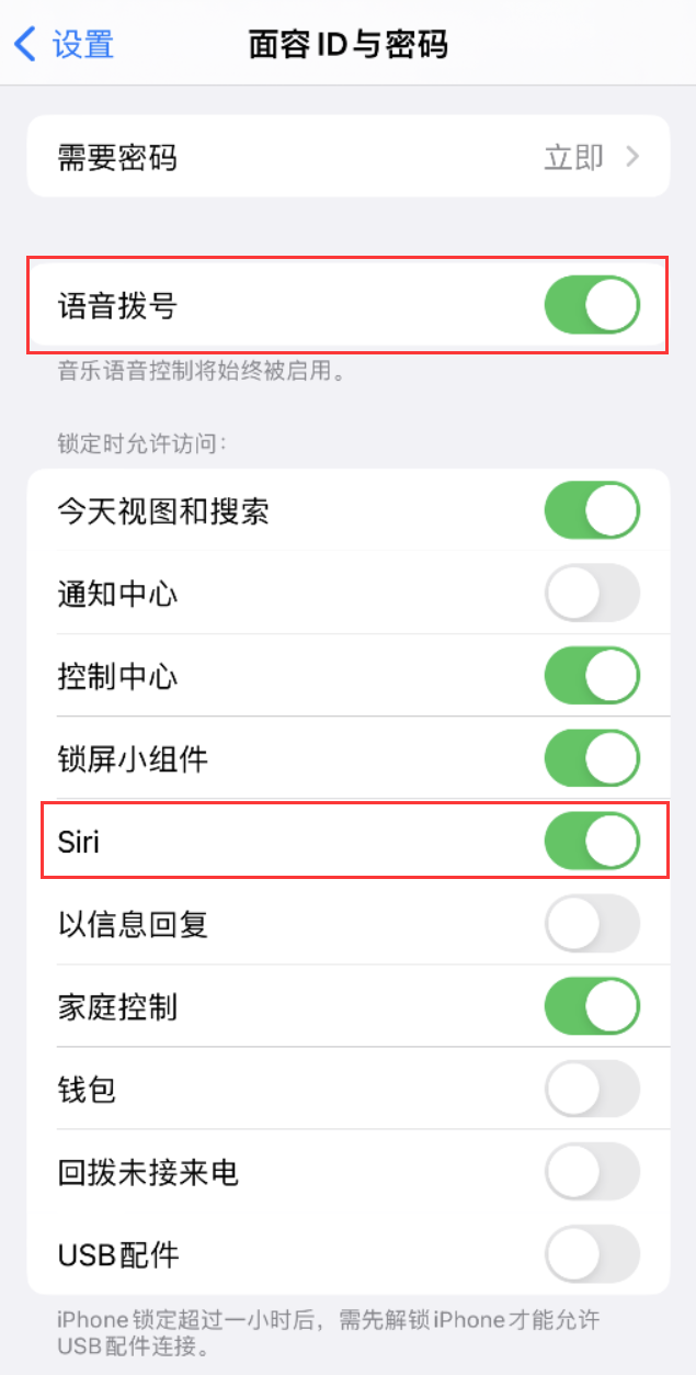 芷江苹果维修网点分享不解锁 iPhone 的情况下通过 Siri 拨打电话的方法 