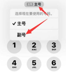 芷江苹果14维修店分享iPhone 14 Pro Max使用副卡打电话的方法 