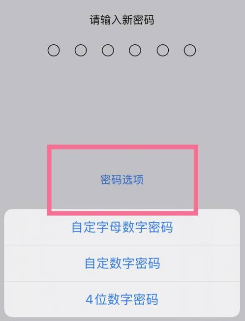 芷江苹果14维修分享iPhone 14plus设置密码的方法 