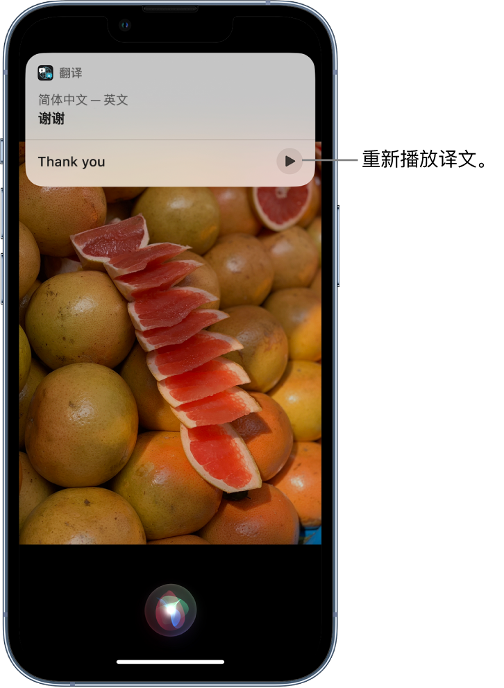 芷江苹果14维修分享 iPhone 14 机型中使用 Siri：了解 Siri 能帮你做什么 