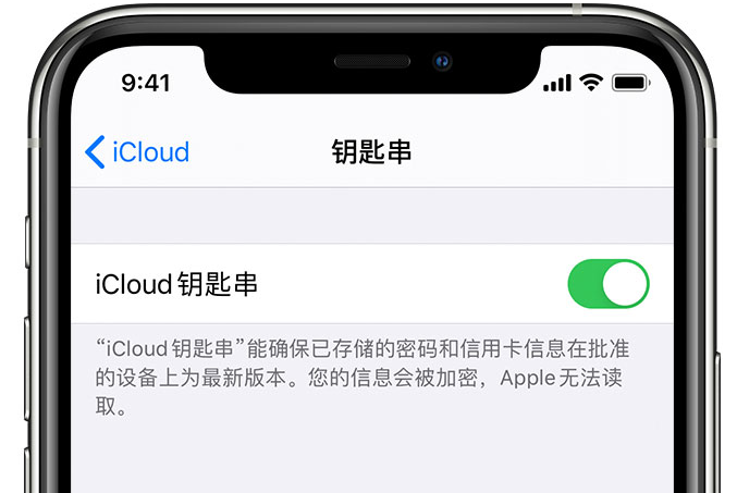 芷江苹果手机维修分享在 iPhone 上开启 iCloud 钥匙串之后会储存哪些信息 