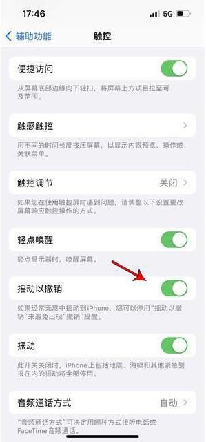 芷江苹果手机维修分享iPhone手机如何设置摇一摇删除文字 